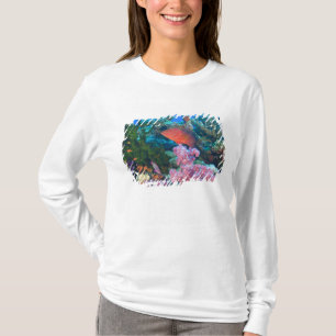 skolning Fairy Basslets (Pseudanthias T Shirt