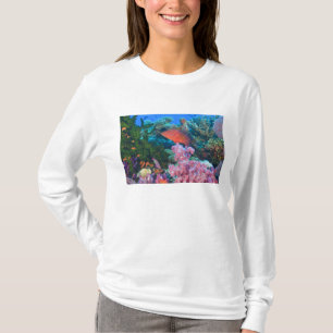 skolning Fairy Basslets (Pseudanthias Tröja