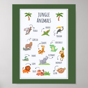 Skolundervisning i jungle Animals Poster