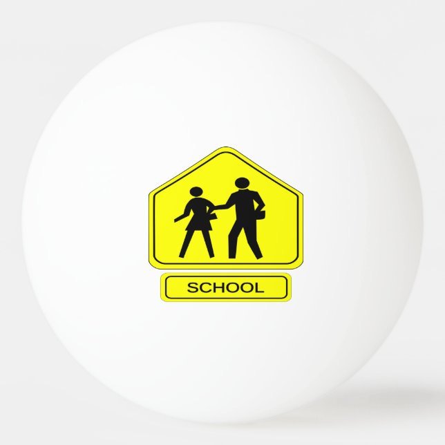 SkolZon Pingisboll (Framsidan)