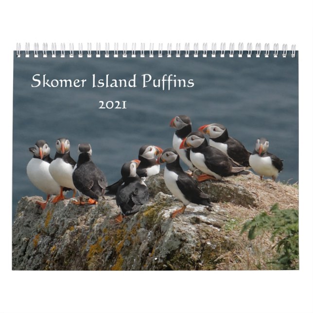 Skomer Island Puffins 2021 Wales Kalender (Omslag)