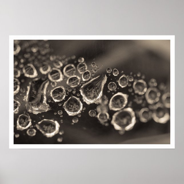 skon faller poster (Framsidan)