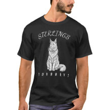 "Skön jätte" Main Coon av kattfantaster