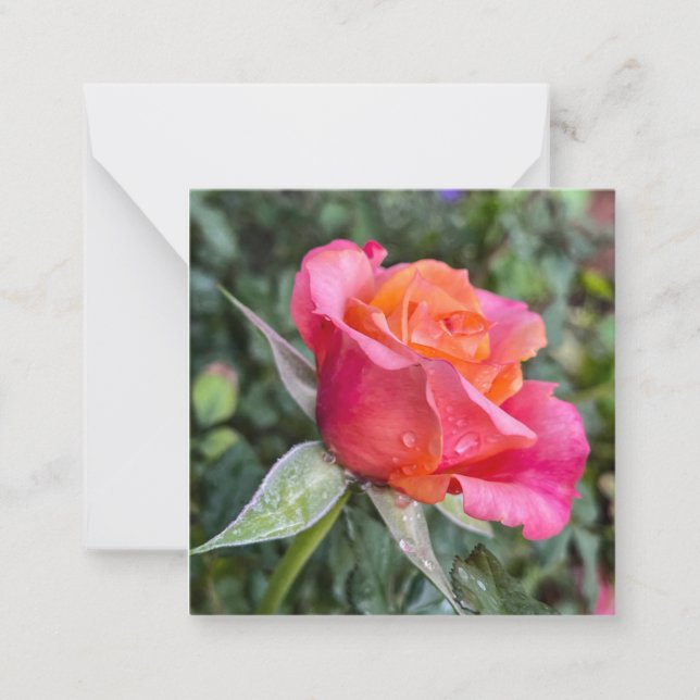 skönhet anteckningskort (Framsida)