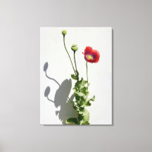 Skönhet är också Beasten.