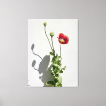 Skönhet är också Beasten.