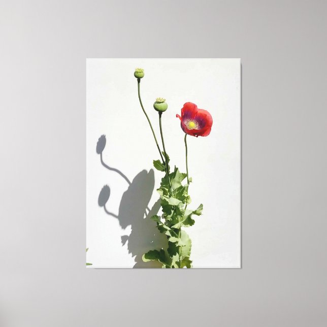 Skönhet är också Beasten. Canvastryck (Framsida)