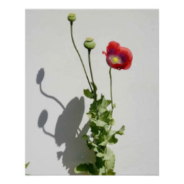 Skönhet är också Beasten. Perfect Poster