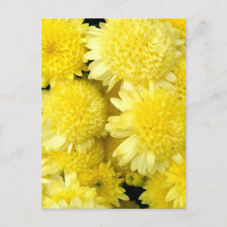 Skönhet av gula Dahlia-blommor Helg Vykort