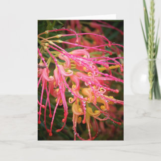 Skönhet efter regna. kort