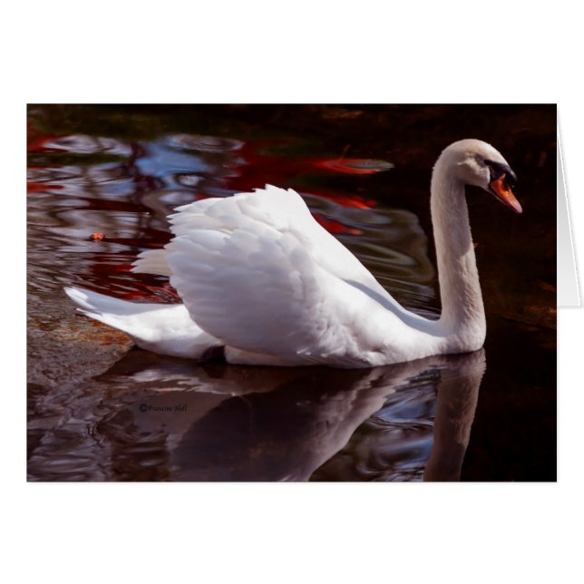 skönhet hälsningskort (Framsidan Horizontal)