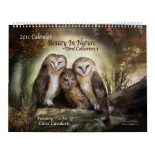 Skönhet i den naturkonstkalendern 2011 kalender