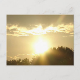 skönhet i en soppa vykort