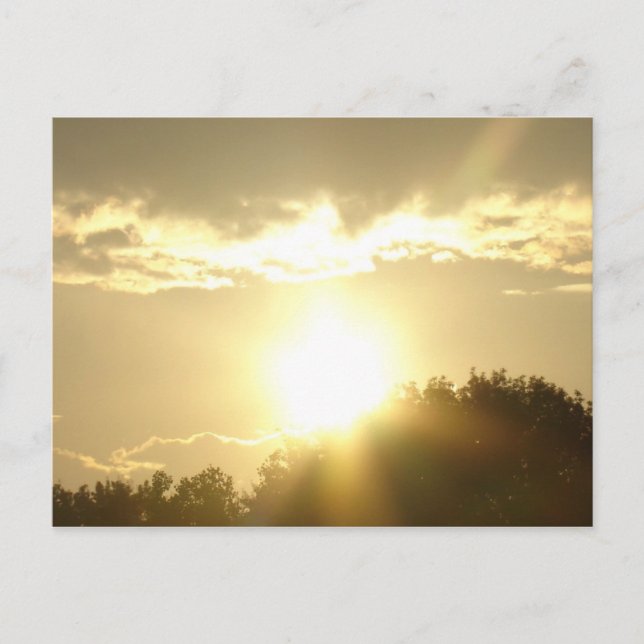 skönhet i en soppa vykort (Framsida)