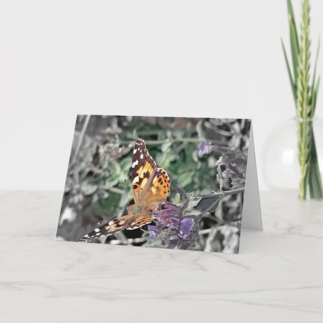 Skönhet i naturen kort (Framsida)