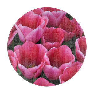 skönhet i rosa tulpaner