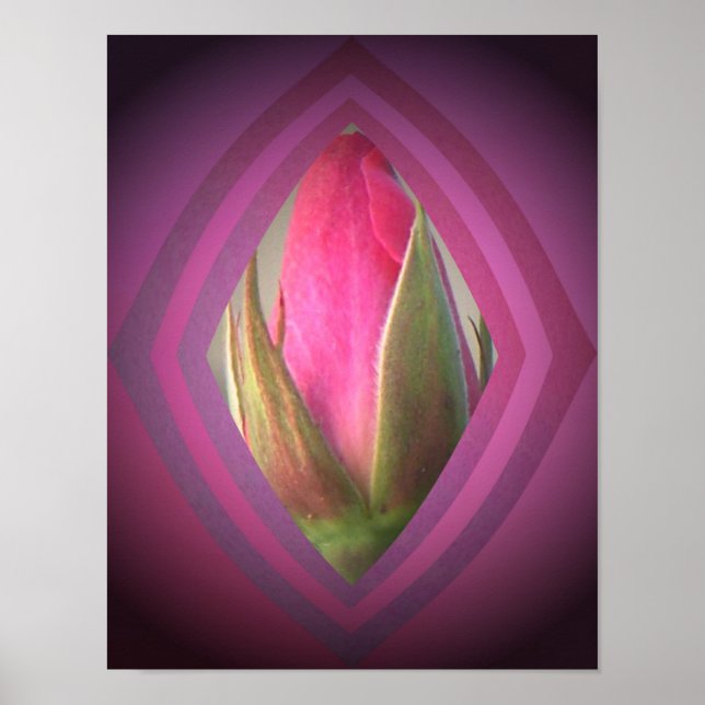 Skönhet i skuggorna poster (Framsidan)