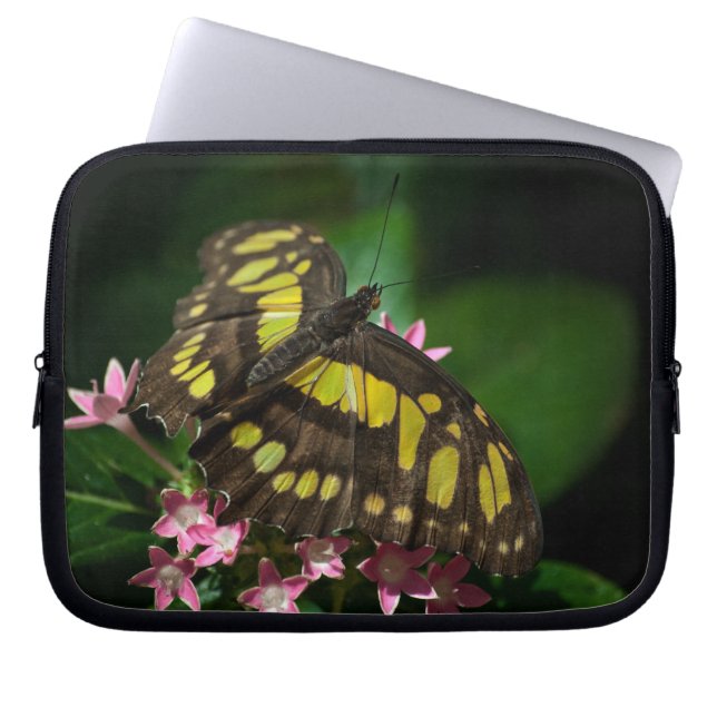 Skönhet i Stars Laptop sleeve (Framsidan)