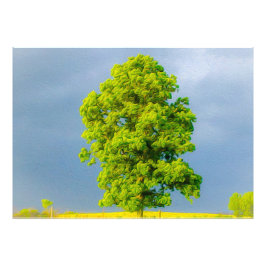 Skönhet i stormen fototryck