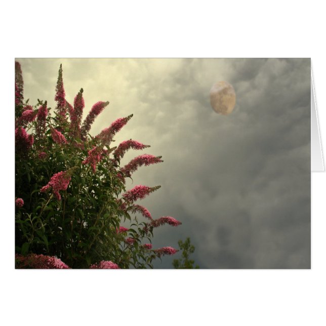 Skönhet i stormen hälsningskort (Framsidan Horizontal)