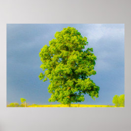 Skönhet i stormen poster