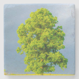 Skönhet i stormen stenunderlägg