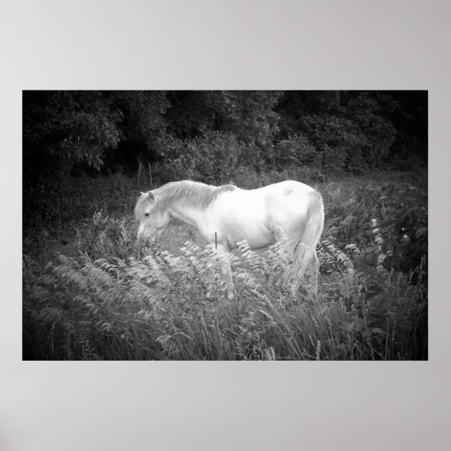 Skönhet i svartvitt poster (Framsidan)