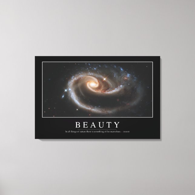 Skönhet: inspirationsoffert 3 canvastryck (Framsida)