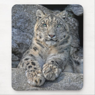 Skönhet Mousepad för snöLeopard Musmatta
