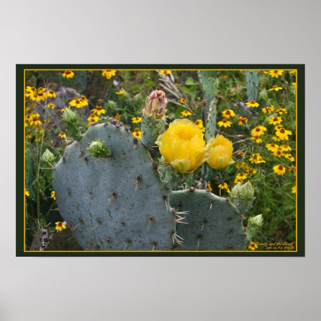 Skönhet och Beast Poster (Framsidan)