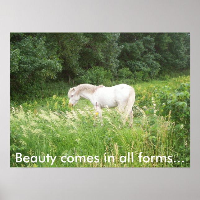 skönhet poster (Framsidan)