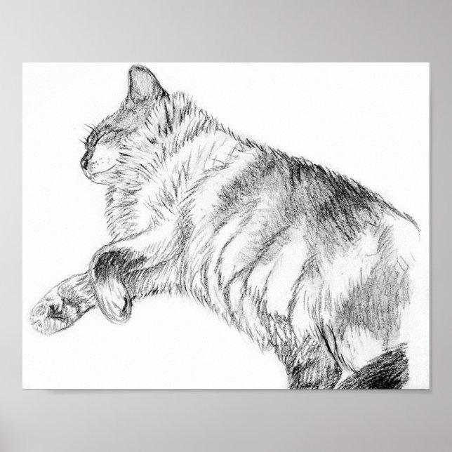 Skönhet Poster (Framsidan)