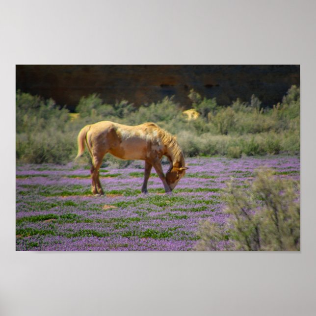 skönhet poster (Framsidan)