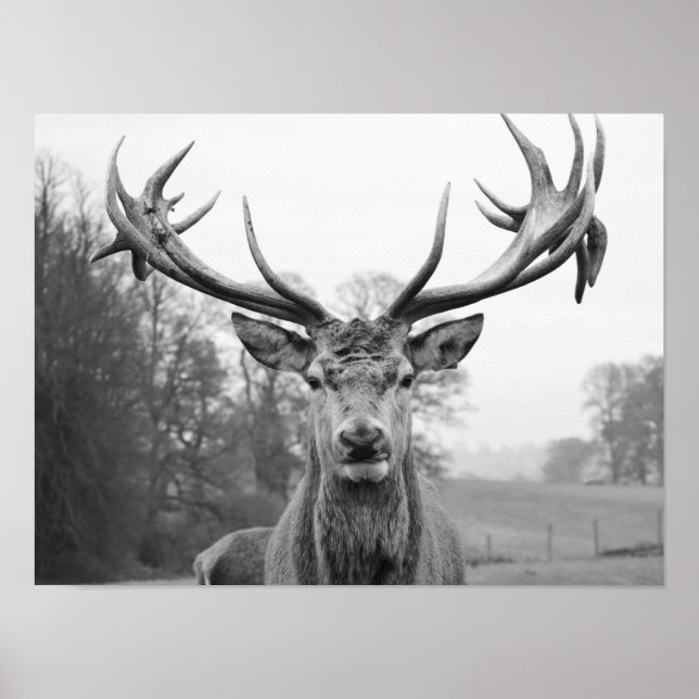 Skönhet till naturen poster (Framsidan)