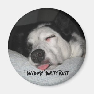 Skönhet vilar serie magnet