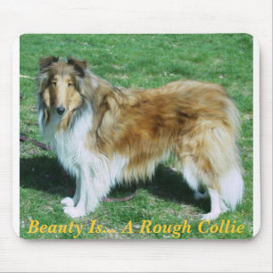 Skönheten är.. A Rough Collie Musmatta