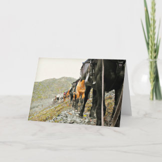 Skönheten av Chisana Kort