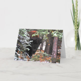 Skönheten av Chisana Kort