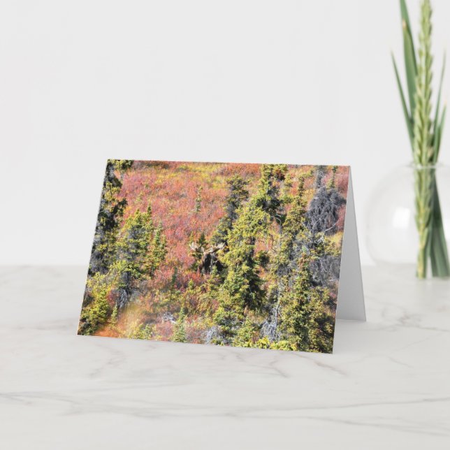 Skönheten av Chisana Kort (Framsida)