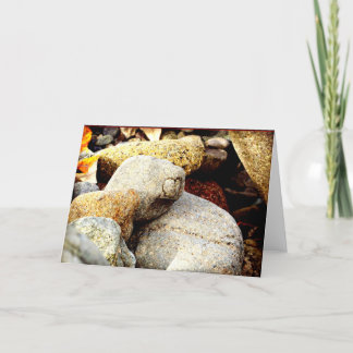 Skönheten av Chisana Kort