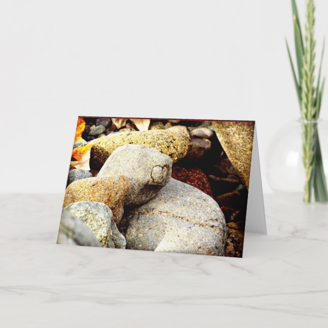 Skönheten av Chisana Kort (Framsida)