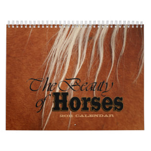 Skönheten av flipen för hästar 2011 kalender