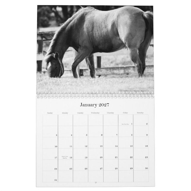 Skönheten av hästkalendern kalender (Jan 2027)