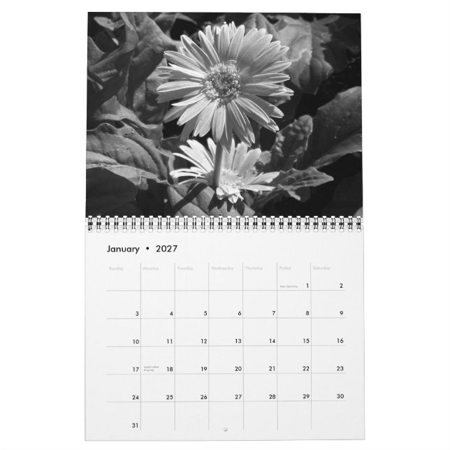 Skönheten av svart- & vitkalendern kalender (Jan 2027)