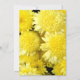 Skönheten hos gula Dahlia-blommor Tack Kort