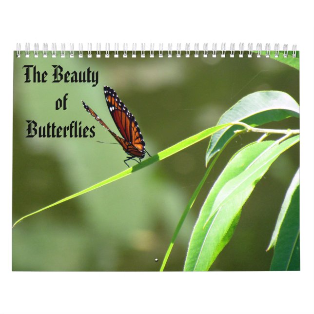 Skönheten i Butterflies Calendar Kalender (Omslag)