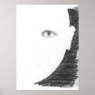 Skönheten utan poster