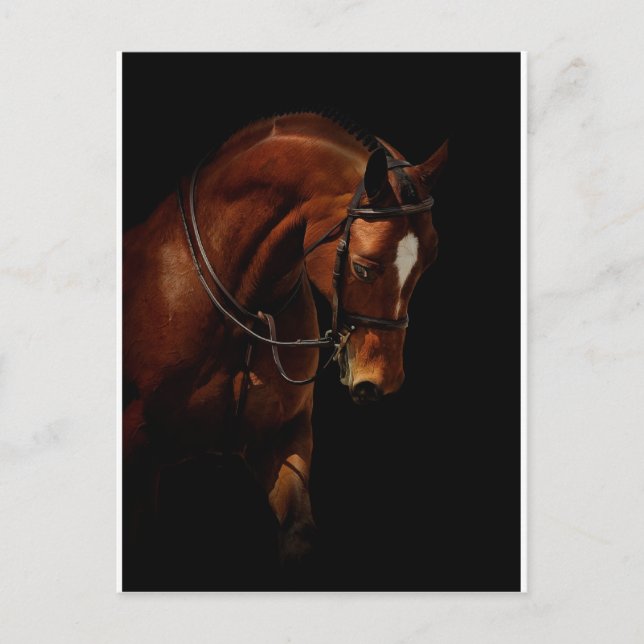 Skönheten Vykort (Framsida)