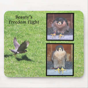 Skönhetfrihetsflyg Mousepad Musmatta