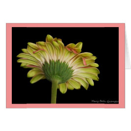 Skönhetinsida och ut OBS kort